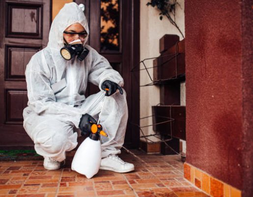 الشركة الالمانية لمكافحة الحشرات 01152993555